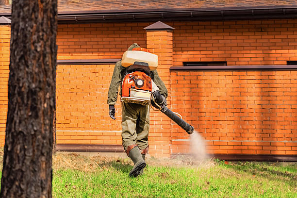 Bed Bug Clearance Verification and Documentation in Birmingham
